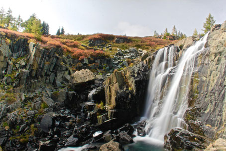Nature of Mongolia