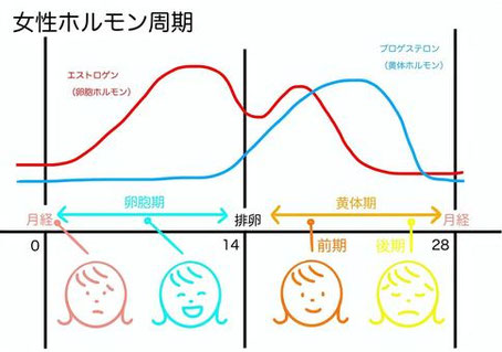 生理周期