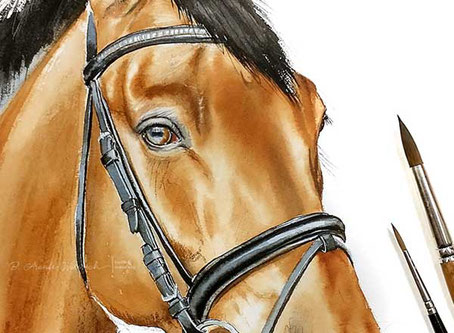 Pferd Aquarell Portrait nach Foto malen lassen - 
