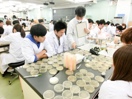 2年次 学生実験のようす