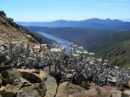 Kahurangi National Park