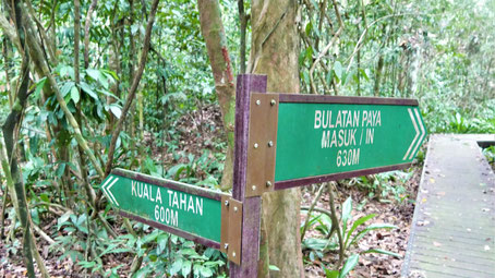 Taman Negara Malaysia: Wanderwege im Nationalpark