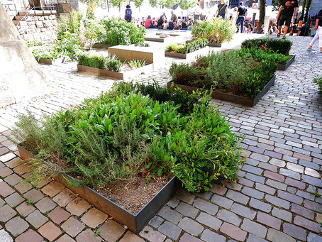 Aachen Geheimtipps: Karlsgarten hinter dem Rathaus