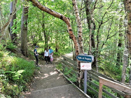Loch Ness Sehenswürdigkeiten: Falls of Foyers - Der Weg ist das Ziel