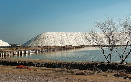 Camargue Sehenswürdigkeiten: Salzteiche von Salins d'Aigues-Mortes