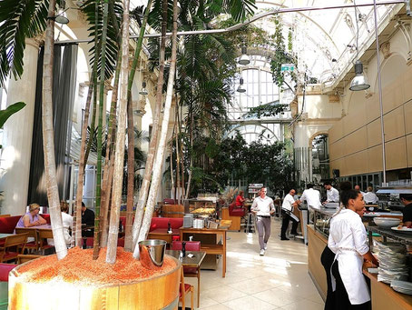 Wien Geheimtipps und Insider Tipps: Brasserie Palmenhaus