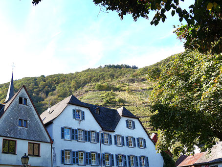 Mosel schönste Orte: Calmont - Steilster Weinberg Europas