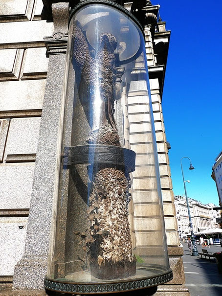 Wien Geheimtipps und Insider Tipps: Stock im Eisen