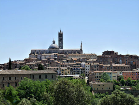 Siena Sehenswürdigkeiten: Über den Dächern der Altstadt
