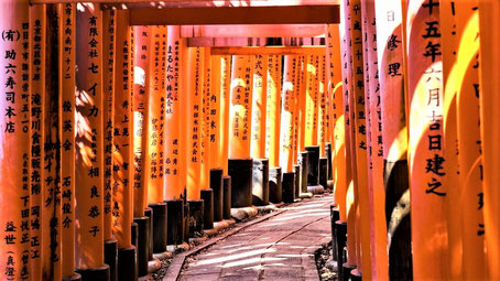 Kyoto Sehenswürdigkeiten: Rote Toriis weisen den Weg