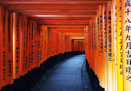 Kyoto Sehenswürdigkeiten: Rote Toriis weisen den Weg