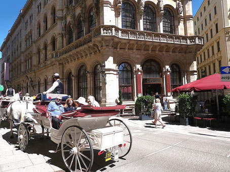 Wien Kaffeehaus Tipps: Café Central