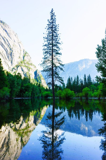 Yosemite Nationalpark Sehenswürdigkeiten: Mirror Lake