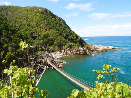 Tsitsikamma Nationalpark Sehenswürdigkeiten: Storms River Suspension Bridge  