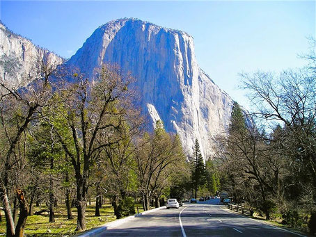 Nationalparks USA Westen Sehenswürdigkeiten: Fahrt durch den Yosemite