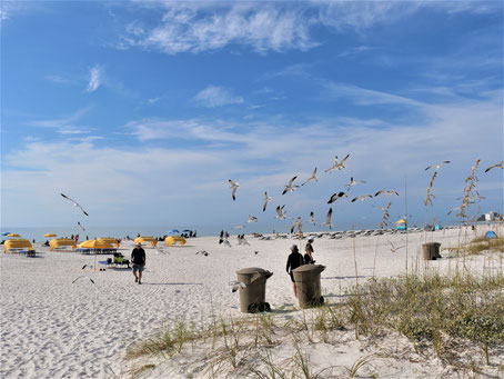 Florida Geheimtipps: Am Strand von St. Petersburg Beach