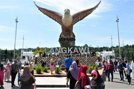 Reise Blog Langkawi Sehenswürdigkeiten: Adler im Hafen von Kuah