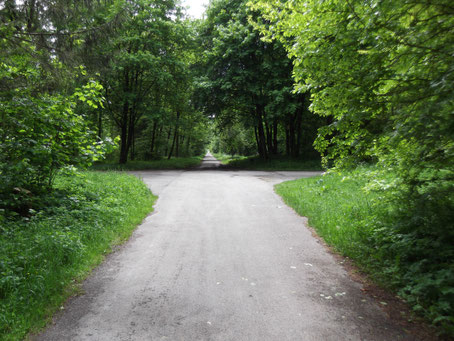 Wegbegleitung für (D)ein Leben in Licht, Liebe, Frieden, Freude, Freiheit und Fülle