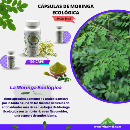 MORINGA EN CAPSULAS. (100, 150 Y 500 CAPS.)
