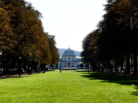 Kastanienallee Bonn, vom Hofgarten zum Poppelsdorfer Schloss Uni Bonn