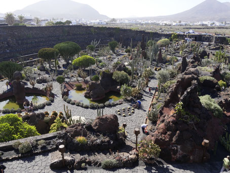 Lanzarote Kakteengarten Manrique