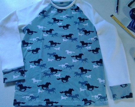 Ein Pferdeshirt