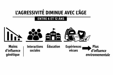 L'évolution de l'agressivité enfantine