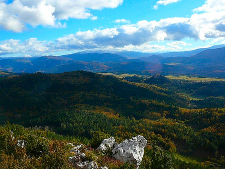 Pic du Bac - Forêt de Callong - vue sur le Madres - randonnee Pyrenees audoises