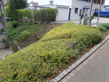 unser maschinenpark - 1551806722s Webseite!