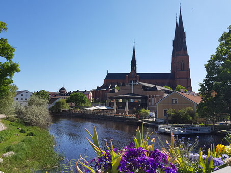 Der Dom in Uppsala