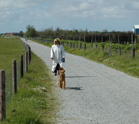 Spaziergang in Burhaven