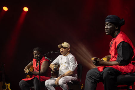 Salif Keita, chapiteau de Jazz in Marciac, jeudi 31 juillet 2025. Photographie : Laurent Sabathé