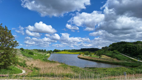 Wandelsessies Brigitte van Uden, Leefstijlcoach en Gewichtsconsulent, Capelle aan den IJssel