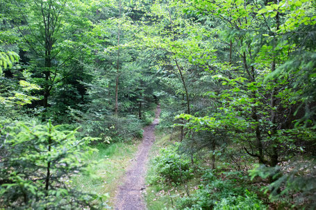 Lebensberatung, Intuition, geistiges Heilen, Coaching, Intuition, Aktivieren der eigenen Intuition, Selbstbestimmung, Selbstverwirklichung