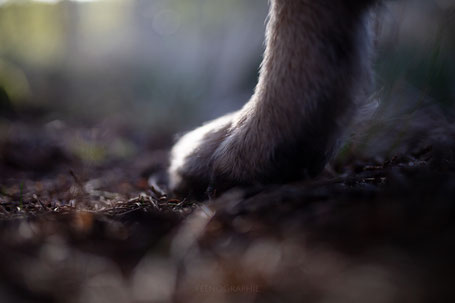 Coaching, Kreativität, Aktivierung, Inspiration, Malkurs, Malcoaching, Kreativworkshop