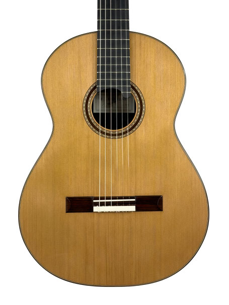 F.J. Riquelme - classical guitar  