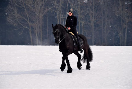 Sandra Plasser und Pferd