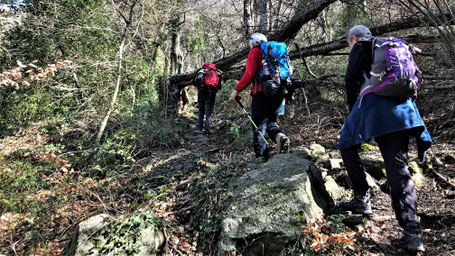 Randos Canétoises  à St Michel de Cuxa Taurinya et les mines de Salver le 27 février 2018