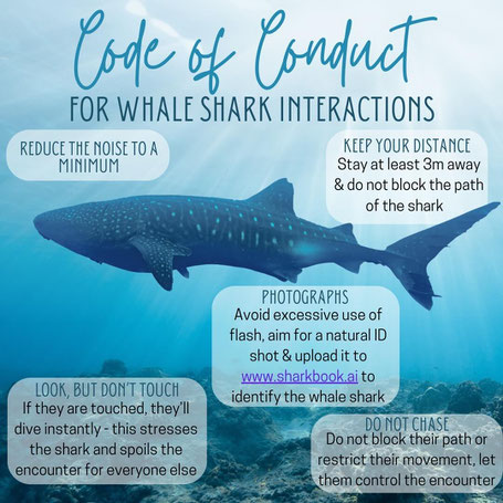 Code of Conduct for Responsible Whale Shark Interactions by Galapagos Whale Shark Project