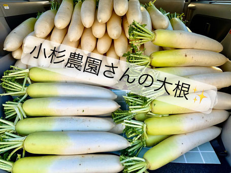 横須賀市 訪問看護ステーション