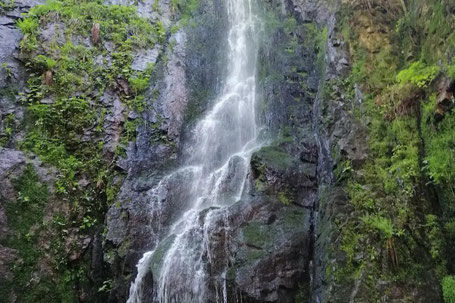 Wasser stürzt einen Wasserfall hinunter