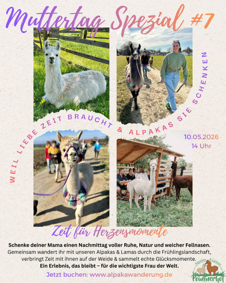Flyer Muttertag-Spezial: Muttertag Geschenk Alpakawanderung Hohenlinden bei München in Bayern.