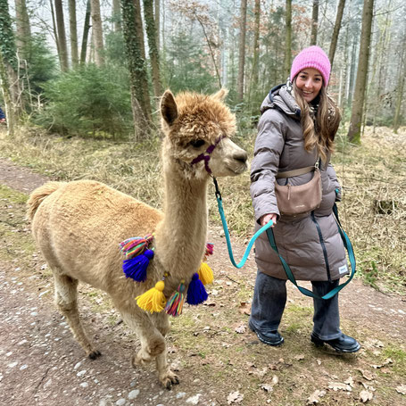 Person genießt ruhigen Moment mit Alpaka im Winter