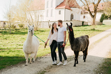 Paar wandert mit Lamas beim Lieblingsmensch‑Event am Pointnerhof bei München..