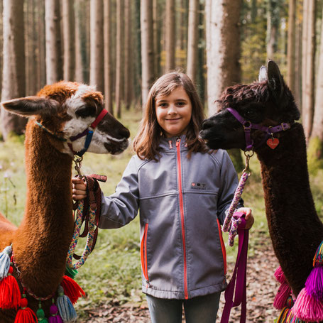 Alpakas und Lamas freuen sich auf die Kinder für das Feriencamp.