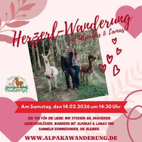 Liebe feiern in der Natur – gemeinsam mit anderen Paaren