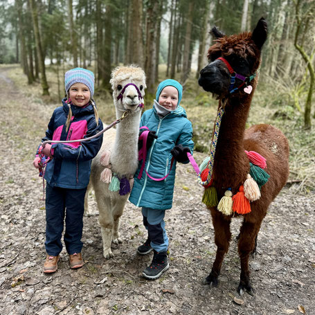 Wanderung mit Alpakas beim Kindergeburtstag in Hohenlinden