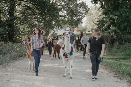 Gruppenwanderung mit Alpakas nahe München