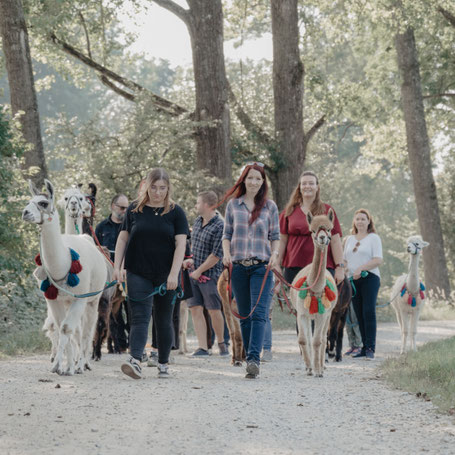 Teamgruppe in der Natur mit Alpakas