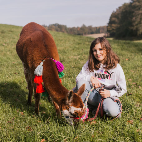 Ruhiger Moment zwischen Kind und Alpakas auf der Wiese